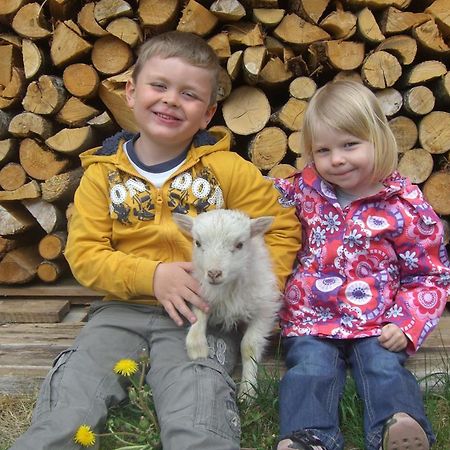 Ferienwohnungen Niederarnigerhof Familie Bauernfeind Kals-am Großglockner Exterior foto
