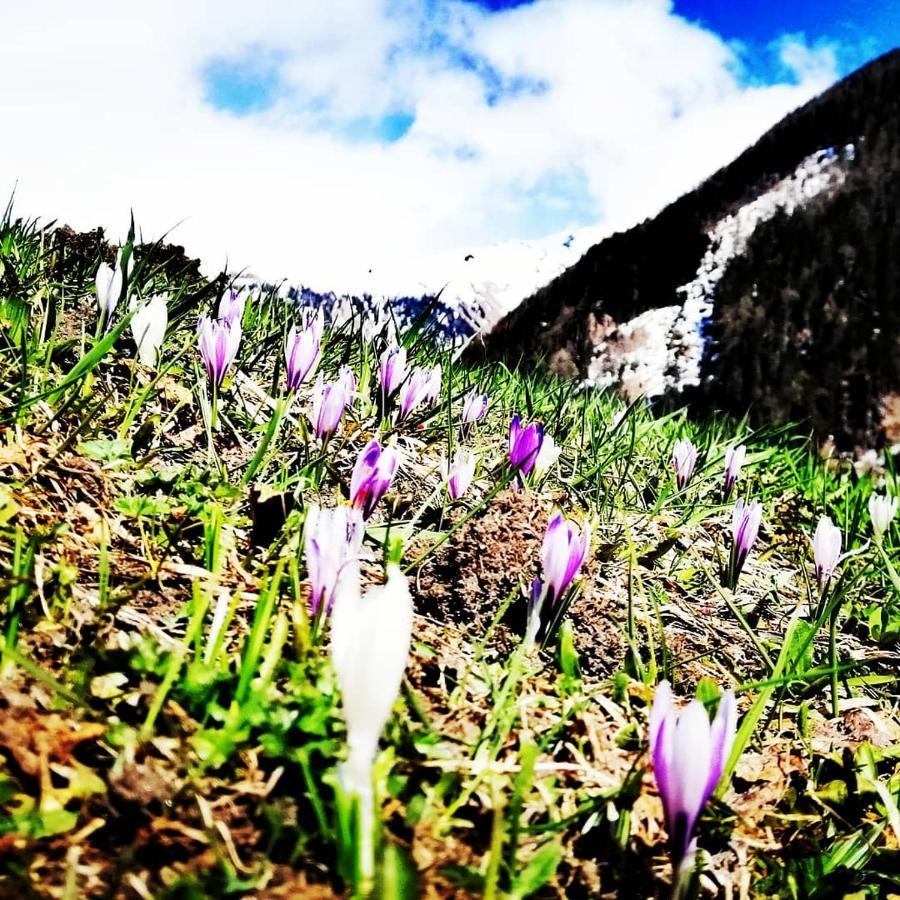 Ferienwohnungen Niederarnigerhof Familie Bauernfeind Kals-am Großglockner Exterior foto