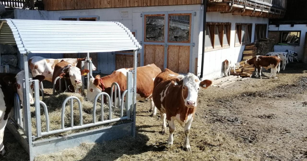 Ferienwohnungen Niederarnigerhof Familie Bauernfeind Kals-am Großglockner Exterior foto