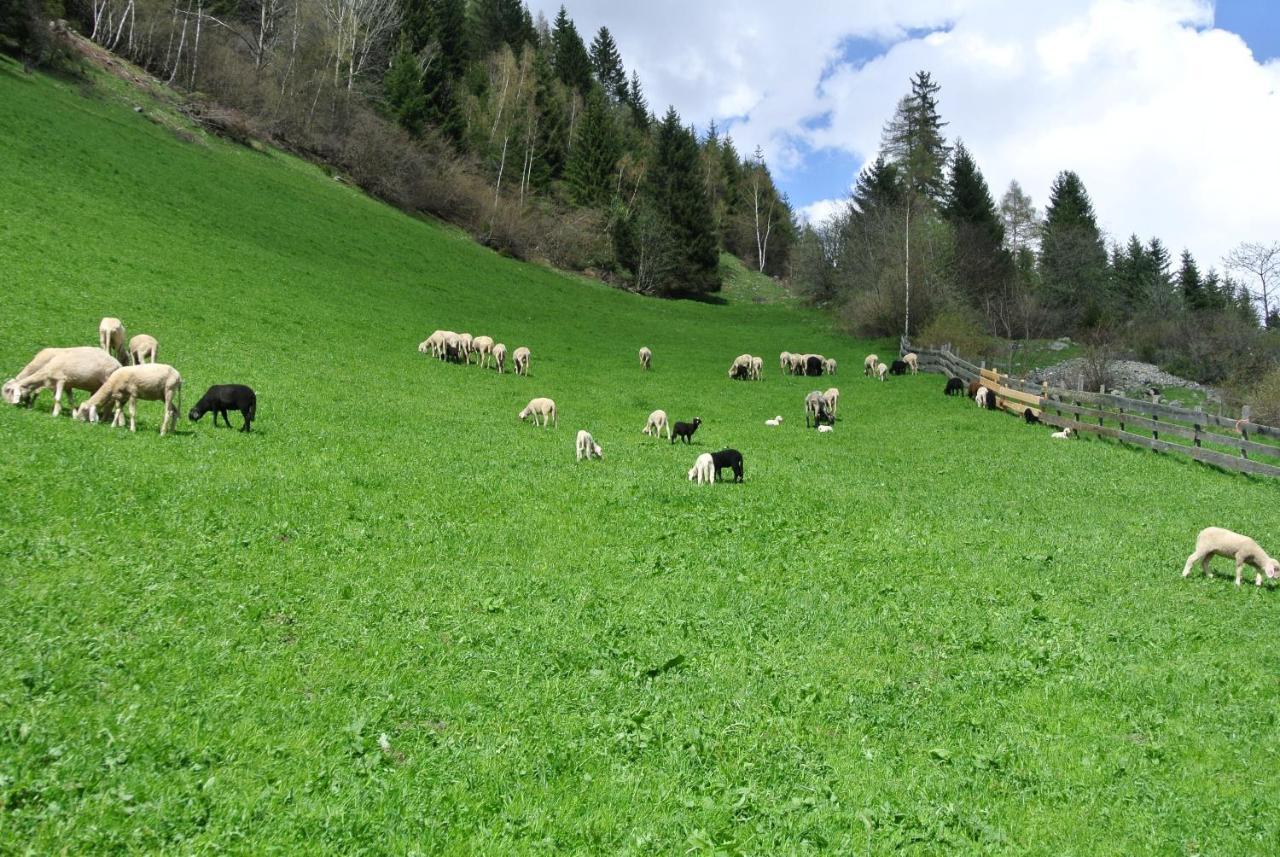 Ferienwohnungen Niederarnigerhof Familie Bauernfeind Kals-am Großglockner Exterior foto