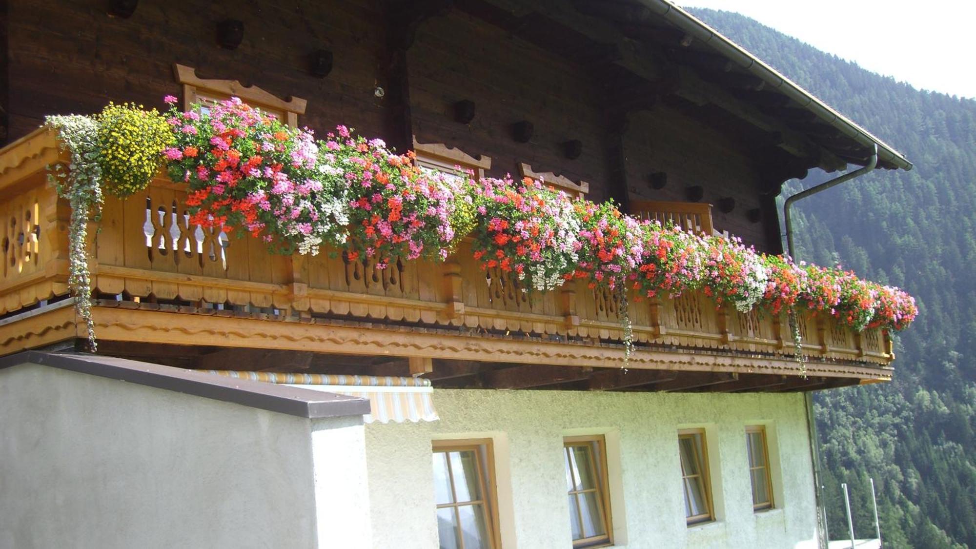 Ferienwohnungen Niederarnigerhof Familie Bauernfeind Kals-am Großglockner Exterior foto